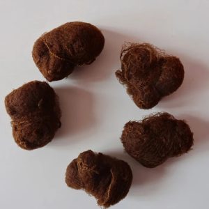 светъл кестен фина мрежа за кок